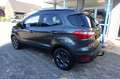 Ford EcoSport 1,0 EcoBoost Trend / Winter Paket / AHK Grau - thumbnail 5