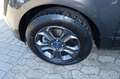 Ford EcoSport 1,0 EcoBoost Trend / Winter Paket / AHK Grau - thumbnail 6