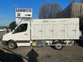 Volkswagen Crafter Bianco - thumbnail 3