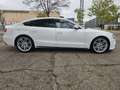 Audi A5 SB 2.0TDI S line edition Mult. 190 Blanco - thumbnail 6