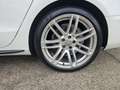 Audi A5 SB 2.0TDI S line edition Mult. 190 Blanco - thumbnail 11