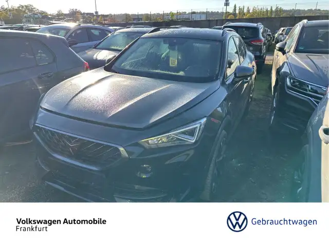 Cupra Formentor VZ 2.0 TSI 4DRIVE DSG KAMERA*BEATS*ACC