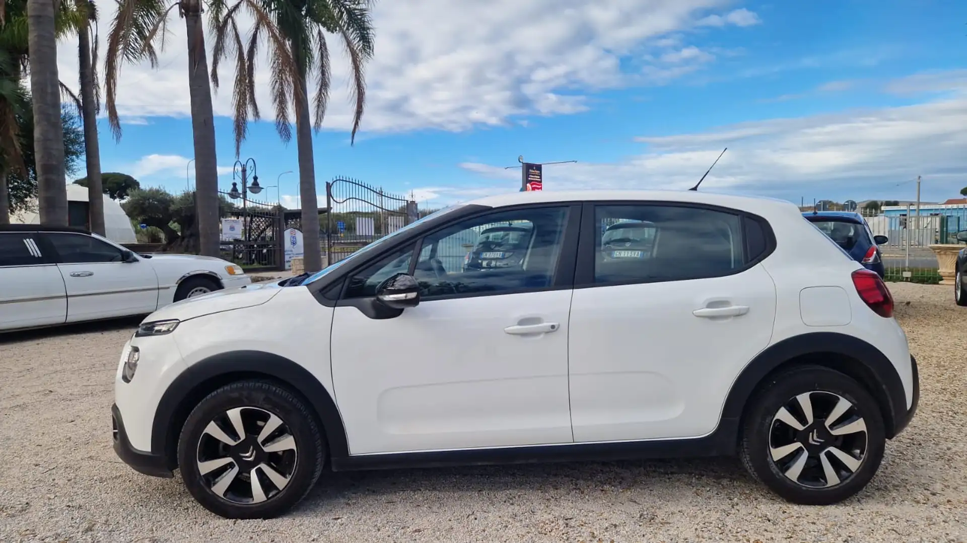 Citroen C3 C3 1.5 bluehdi Shine bassissimi consumi !! Bianco - 1