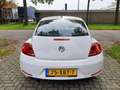 Volkswagen Beetle 1.2 TSI Cruise Control Nieuwe APK Sport Wit - thumbnail 20