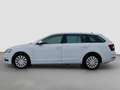 Skoda Octavia Combi L&K 4x4+CANTON+ACC+LED Blanc - thumbnail 2