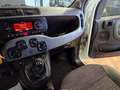 Fiat Panda 1.3 MJT 95 CV S&S 4x4 Bianco - thumbnail 5