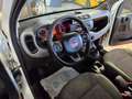 Fiat Panda 1.3 MJT 95 CV S&S 4x4 Bianco - thumbnail 6
