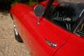 Jaguar E-Type 3.8 Litre Series 1 Coupe Matching numbers, restore Rouge - thumbnail 32