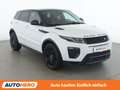 Land Rover Range Rover Evoque 2.0 Sd4 HSE Dynamic Weiß - thumbnail 8