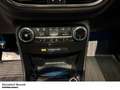 Ford Puma ST-Line X 1.0 Eco Boost  Bang&Olufsen Rückfahrkame Blau - thumbnail 19