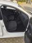 Volkswagen Polo 5p 1.4 tdi Comfortline 75cv - thumbnail 7