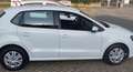 Volkswagen Polo 5p 1.4 tdi Comfortline 75cv - thumbnail 5