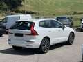 Volvo XC60 Inscription Plug-In Hybrid Weiß - thumbnail 2
