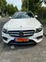 Mercedes-Benz E 350 E 350 d (213.233) Белый - thumbnail 2