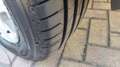 Ford EcoSport 1.0 EcoBoost 125 CV Business Blu/Azzurro - thumbnail 13