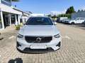Volvo XC40 B4 (Benzin) BLiS/ACC/AHK/Standheizung Grau - thumbnail 7