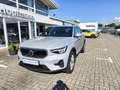 Volvo XC40 B4 (Benzin) BLiS/ACC/AHK/Standheizung Grau - thumbnail 1