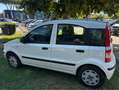 Fiat Panda Panda II 2003 1.2 easypower Dynamic Gpl 69cv Bianco - thumbnail 3