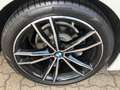 BMW 320 d xDrive Touring M Sport +Pano +LC Prof +RFK Weiß - thumbnail 10
