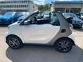 smart forTwo EQ Passion/Exclusive/LED/22KW/PTC/Winterp Weiß - thumbnail 3