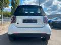 smart forTwo EQ Passion/Exclusive/LED/22KW/PTC/Winterp Weiß - thumbnail 5