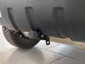Fiat Panda 1.2 4x4 Climbing Bianco - thumbnail 7