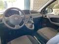 Fiat Panda 1.2 4x4 Climbing Alb - thumbnail 13