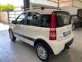 Fiat Panda 1.2 4x4 Climbing Bianco - thumbnail 6