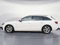 Audi A4 40 TDI S-Line S-tronic beh. Frontscheib Bianco - thumbnail 3