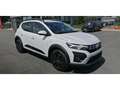 Dacia Sandero Stepway 1.0 ECO-G 100 Expression Blanc - thumbnail 19