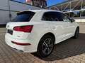 Audi Q5 35 TDI qu. S line AHK/ACC/STANDH./KAMERA Белый - thumbnail 5