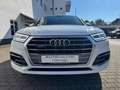 Audi Q5 35 TDI qu. S line AHK/ACC/STANDH./KAMERA Белый - thumbnail 2
