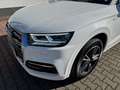 Audi Q5 35 TDI qu. S line AHK/ACC/STANDH./KAMERA Белый - thumbnail 10