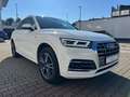 Audi Q5 35 TDI qu. S line AHK/ACC/STANDH./KAMERA Белый - thumbnail 3