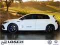 Volkswagen Golf R R 2.0 TSI 4Motion 235 kW Weiß - thumbnail 4
