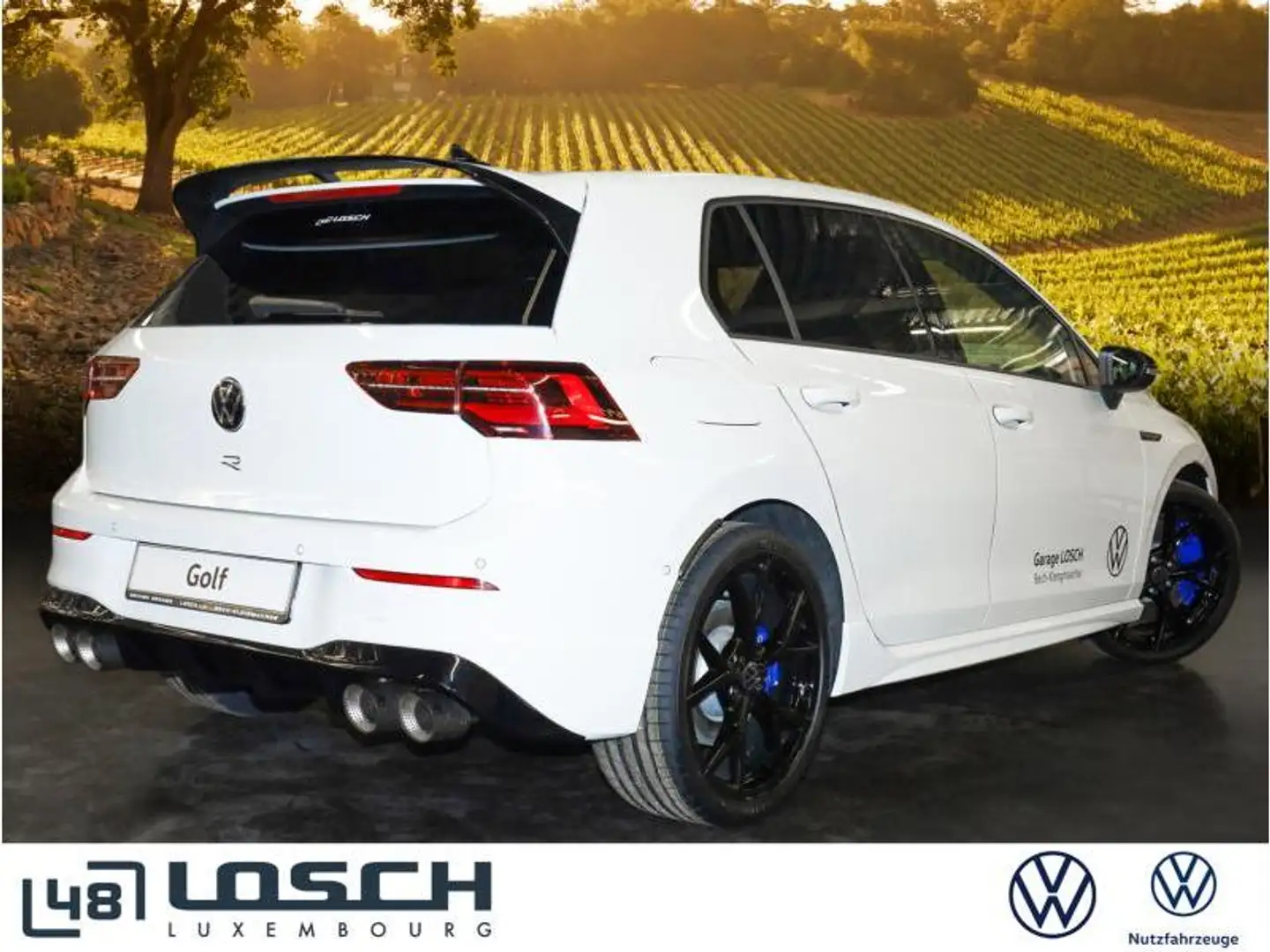 Volkswagen Golf R R 2.0 TSI 4Motion 235 kW Weiß - 2