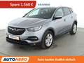 Opel Grandland X 1.5 CDTI Business Edition *NAVI*TEMPO*CAM*PDC*SHZ* Grau - thumbnail 1