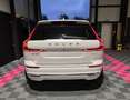 Volvo XC60 XC60 2.0 T6 PHEV AWD Ultimate Bright (Full Option) Blanco - thumbnail 7