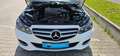 Mercedes-Benz E 200 E200*CGI*Limo*7G*Avantgarde*SHD*SHZ*NAVI*LED*Tempo Weiß - thumbnail 48