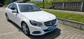 Mercedes-Benz E 200 E200*CGI*Limo*7G*Avantgarde*SHD*SHZ*NAVI*LED*Tempo Weiß - thumbnail 10