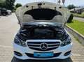 Mercedes-Benz E 200 E200*CGI*Limo*7G*Avantgarde*SHD*SHZ*NAVI*LED*Tempo Weiß - thumbnail 47