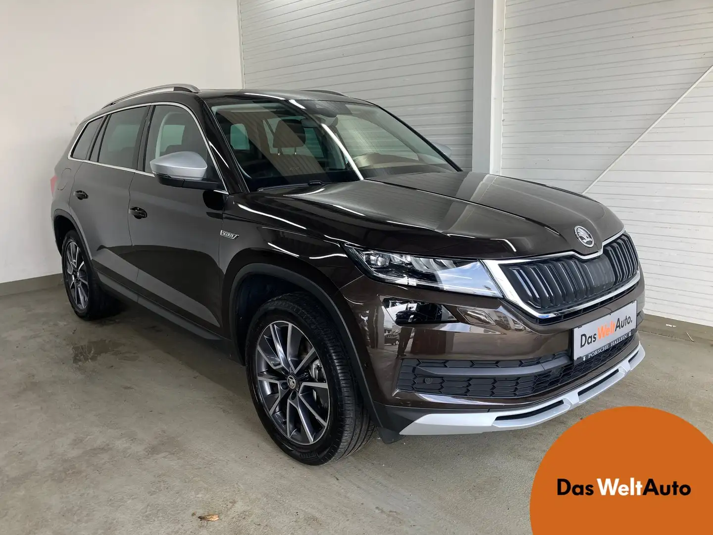 Skoda Kodiaq 4x4 SCOUT TDI DSG Braun - 1