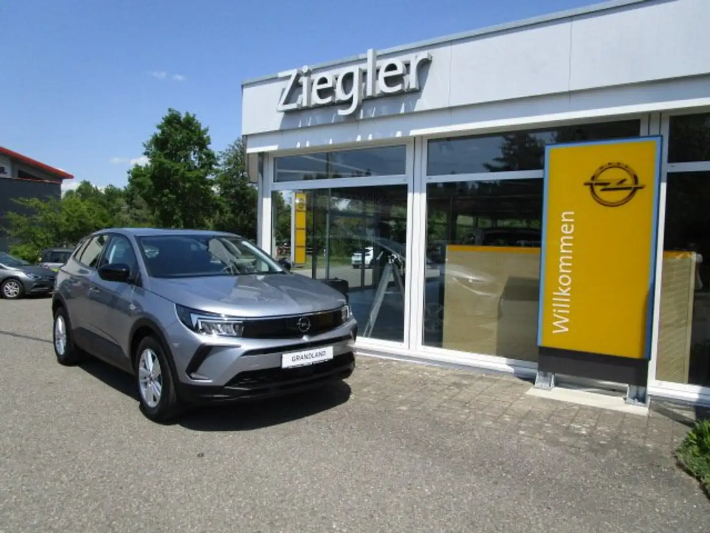 Opel Grandland X Basis Grau - 1