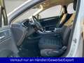 Ford Mondeo 1.5 EB Lim. Business Edition Weiß - thumbnail 9
