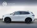 Volkswagen Tiguan Sport TDI DSG Weiß - thumbnail 4