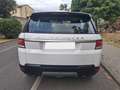 Land Rover Range Rover Sport Range Rover Sport 3.0 tdV6 SE auto Blanco - thumbnail 5