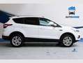 Ford Kuga 1.5 EcoBoost 110kW 4x2 Trend+ Blanco - thumbnail 8