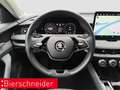 Skoda Superb Combi 2.0 TDI DSG 4x4 Selection NAVI ACC MATRIX 36 Grau - thumbnail 14