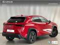Lexus UX 250h 2WD PREMIUM Rojo - thumbnail 4