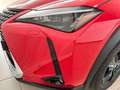 Lexus UX 250h 2WD PREMIUM Rojo - thumbnail 6